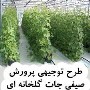 طرح توجیهی پرورش صیفی‌جات گلخانه‌ای