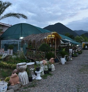 کسب 30 میلیون تومان درآمد ماهانه با پرورش گل